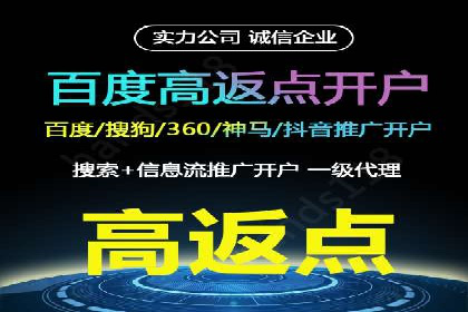百度推广实战：案例分享与数据解读